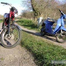 Honda Melody Molly III - Solgt