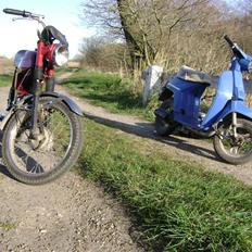 Honda Melody Molly III - Solgt