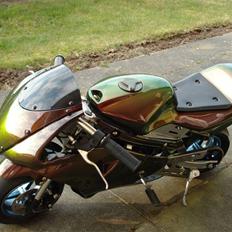 MiniBike Pocket Bike