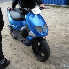 PGO Dr. Big Pata Negra