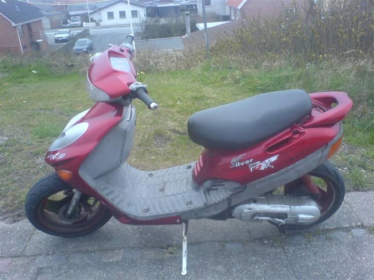 Adly silver fox TIL SALG billede 6