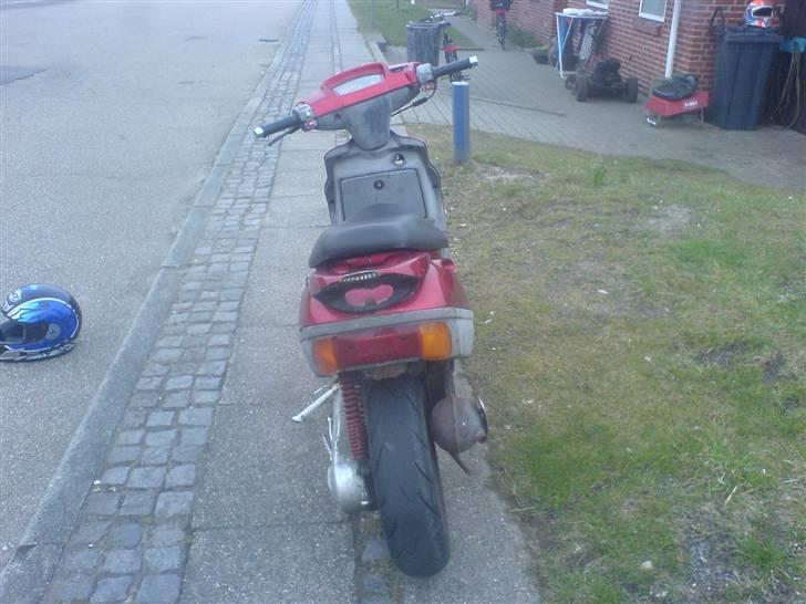 Adly silver fox TIL SALG billede 7