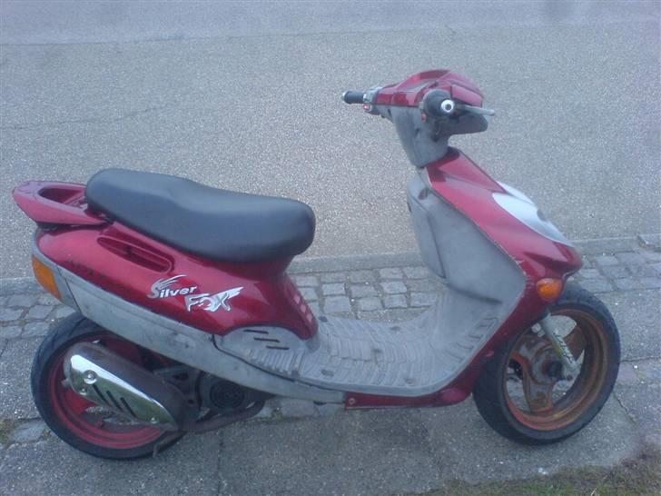 Adly silver fox TIL SALG billede 8