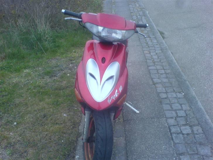 Adly silver fox TIL SALG billede 9