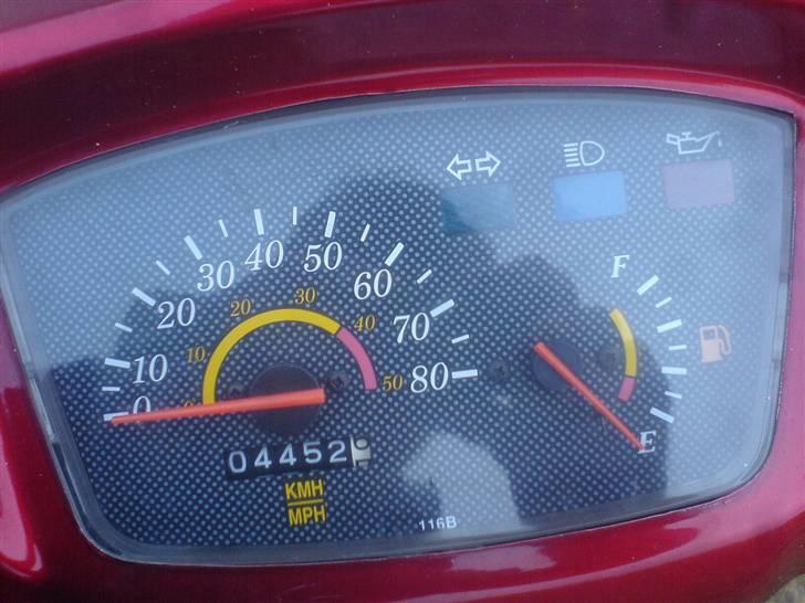 Adly silver fox TIL SALG billede 10