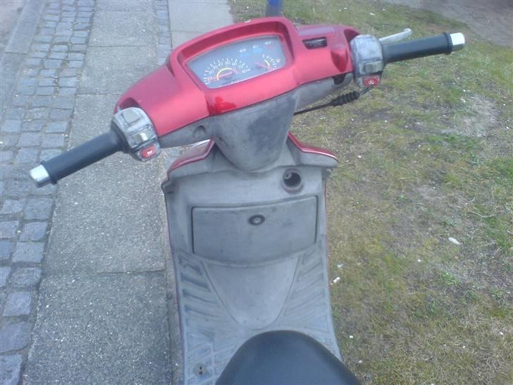 Adly silver fox TIL SALG billede 11