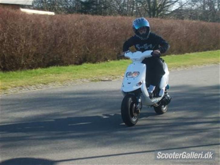 Gilera Stalker - BYTTET - Billeder lånt fra gamle ejer ! får taget nogle her i ugen billede 4