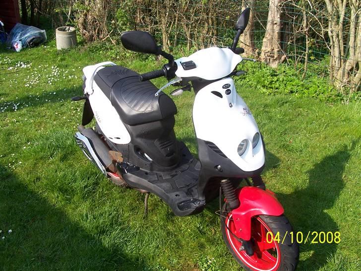 PGO Pmx No Fear: SOLGT! billede 1