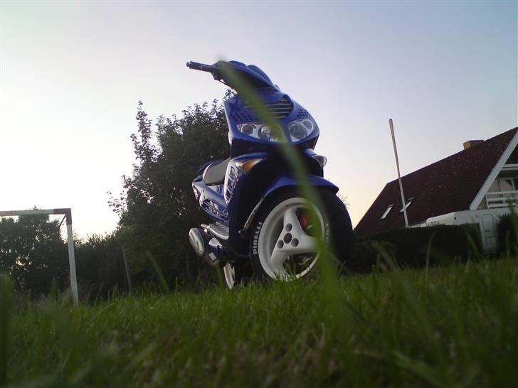 Peugeot Speedfight 307 WRC- SOLGT billede 5