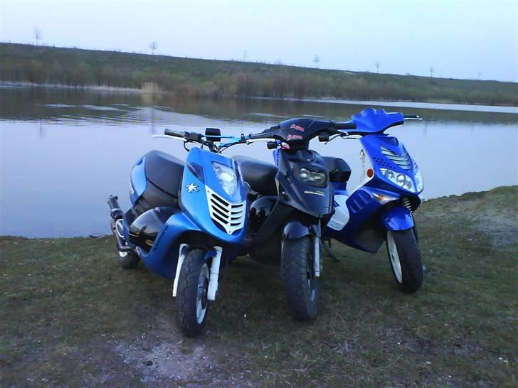 Peugeot Speedfight 307 WRC- SOLGT billede 7