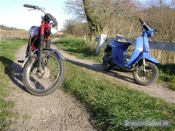 Honda Melody Molly III - Solgt billede 1