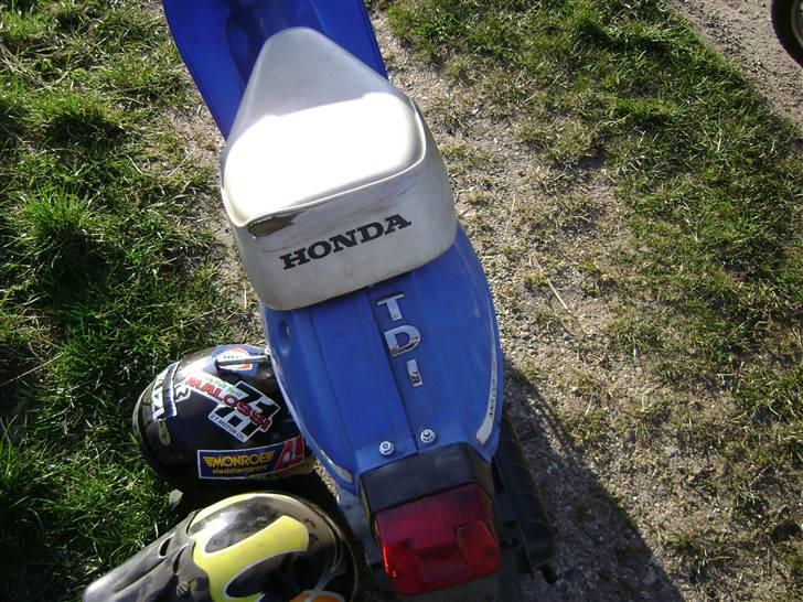 Honda Melody Molly III - Solgt - April - UHHH GEEEJL PÅ SKJOLDET!!!! Nyeste TURBO MELODY!!! billede 2