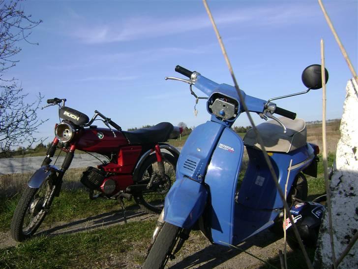 Honda Melody Molly III - Solgt - April, 2007 billede 5