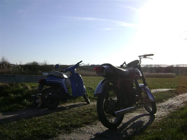 Honda Melody Molly III - Solgt - April, 2007 billede 6