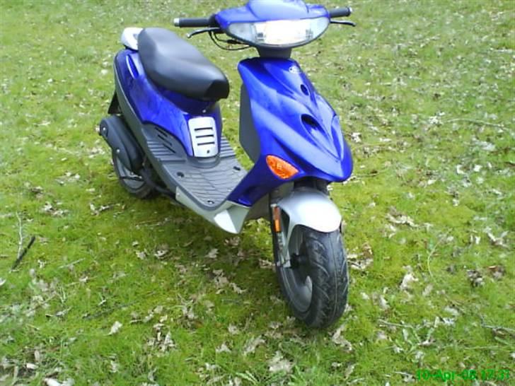 Adly silverfox solgt billede 9