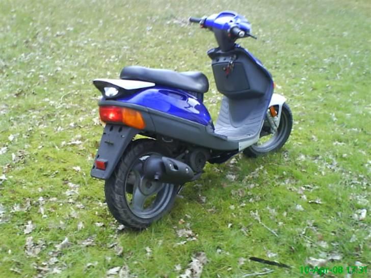 Adly silverfox solgt billede 10