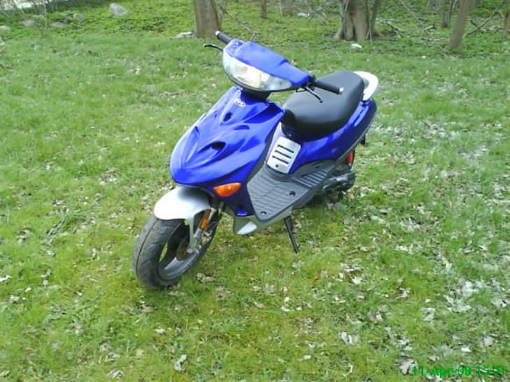 Adly silverfox solgt billede 11