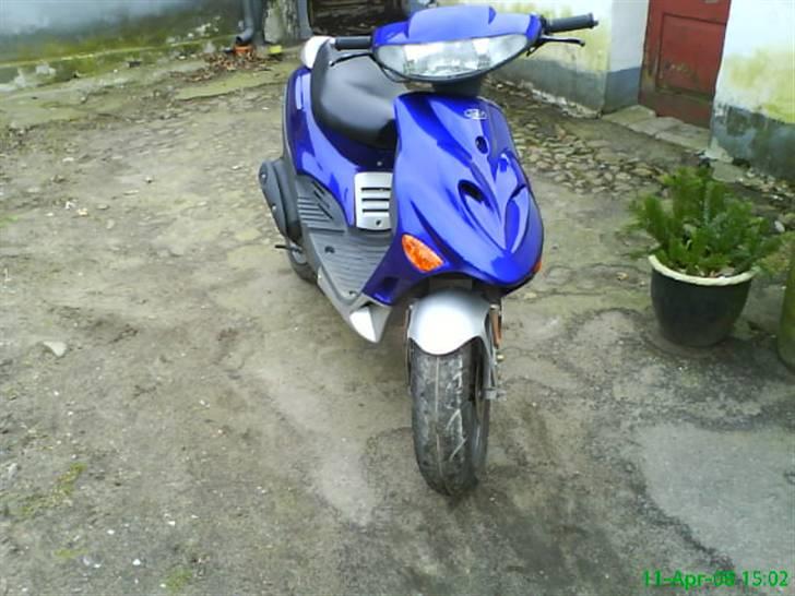 Adly silverfox solgt billede 12