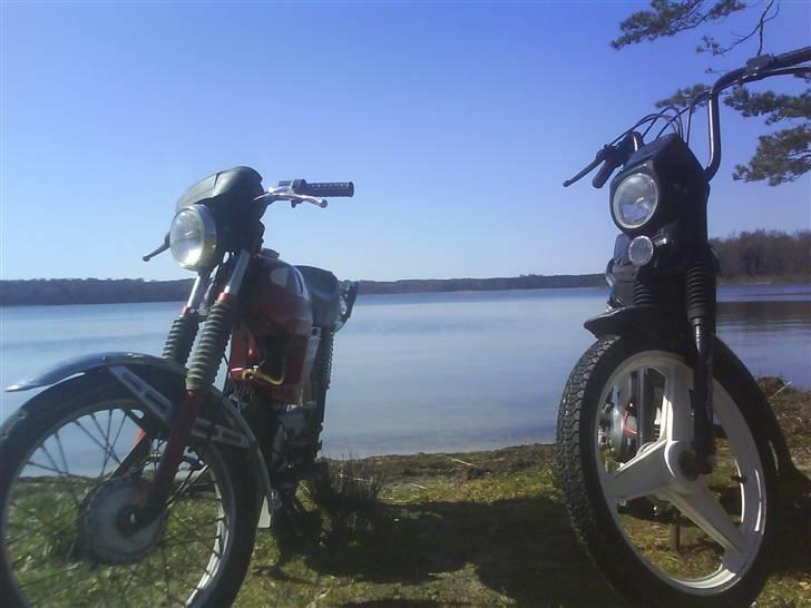 Puch Monza N- 50 SL2 billede 19