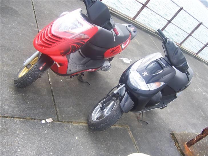 Peugeot Stjålet-Totalskadet - Den nye udstødning billede 6