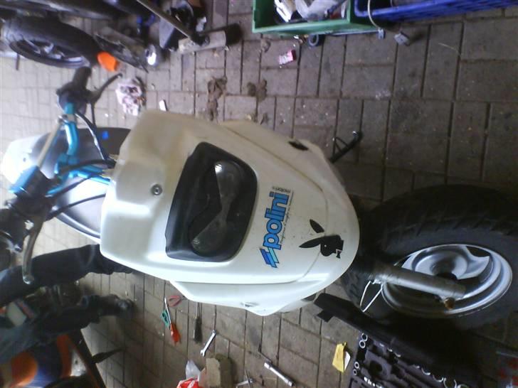 PGO Hot 50 (før) billede 17