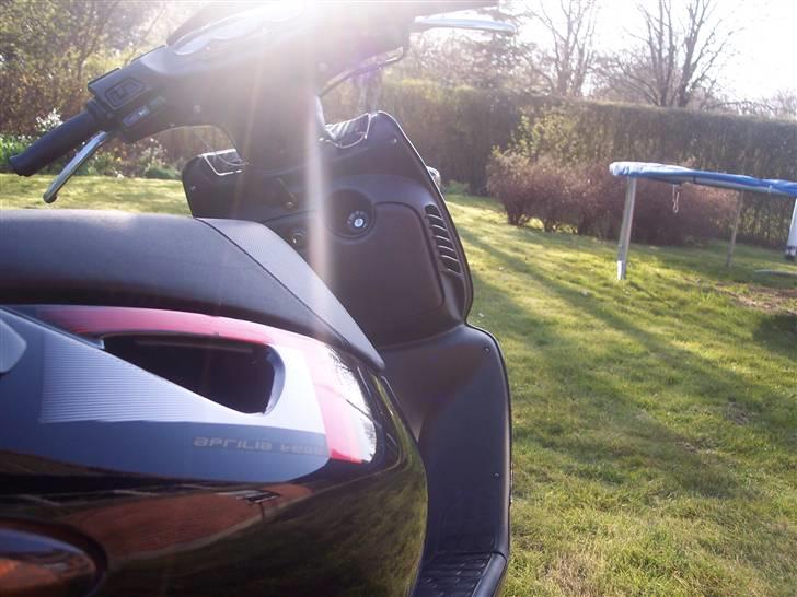 Aprilia sonic billede 13