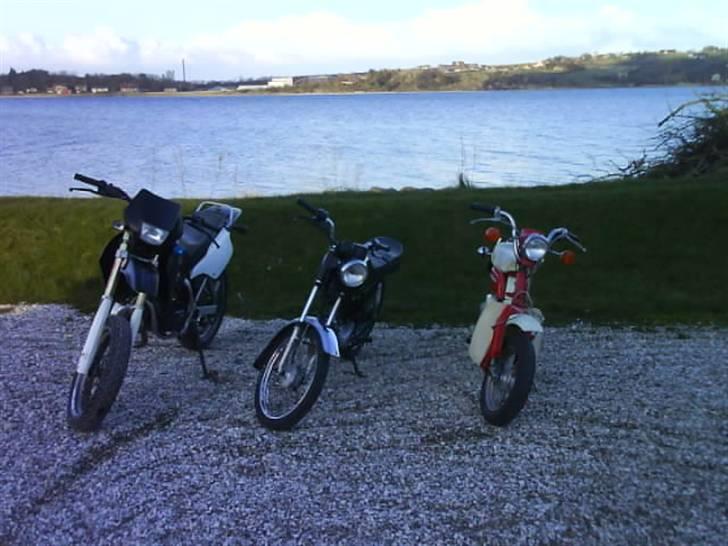 Suzuki Smx SLOGT billede 7