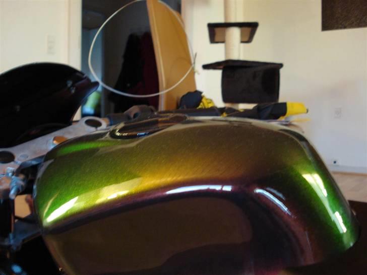 MiniBike Pocket Bike billede 19