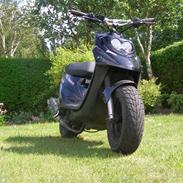 PGO Hot 50   Evo AC [SOLGT] !