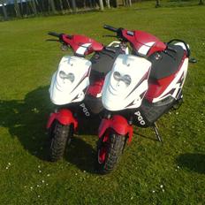 PGO Hot 50 (TILSALG ) 