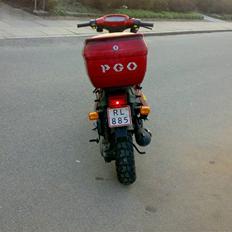 PGO big max solgt