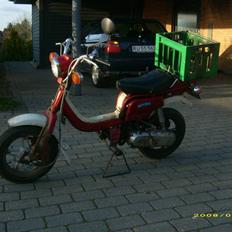 Suzuki fz50 (Soolgt)