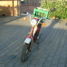 Suzuki fz50 (Soolgt)