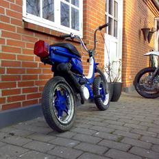 Suzuki FZ50 