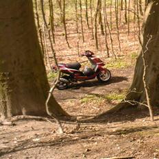 Aprilia Sr50 Ditech