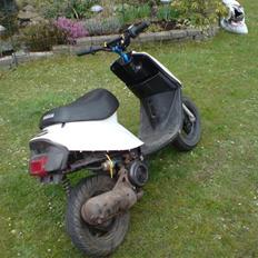 Yamaha Jog ( SOLGT ) !