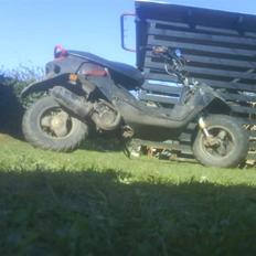 Peugeot Squab <SOLGT>