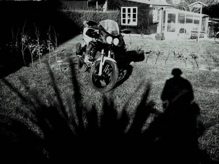 Derbi gpr 50 lc BYTTET billede 8