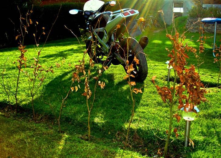 Derbi gpr 50 lc BYTTET billede 10