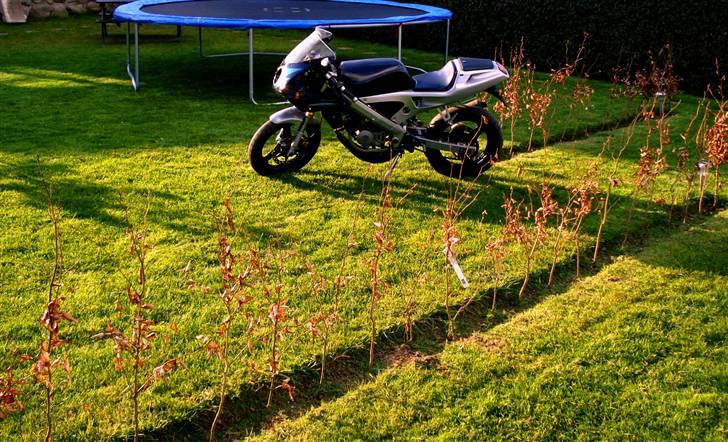 Derbi gpr 50 lc BYTTET billede 12