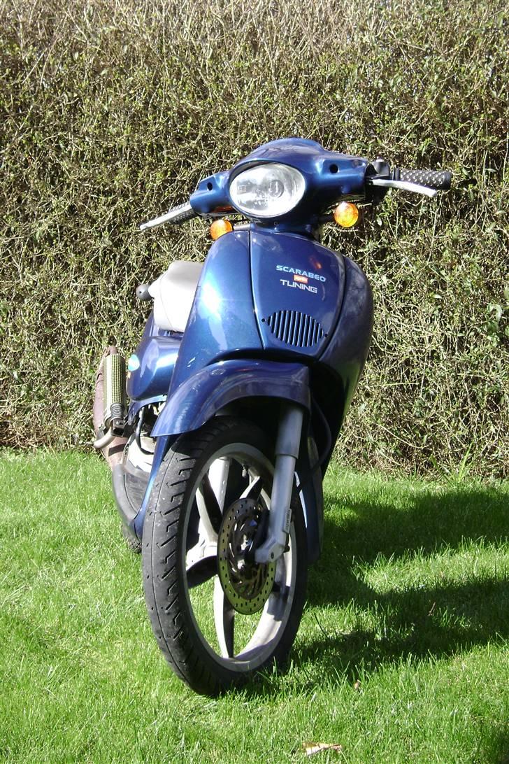 Aprilia Scarabeo Racing billede 5