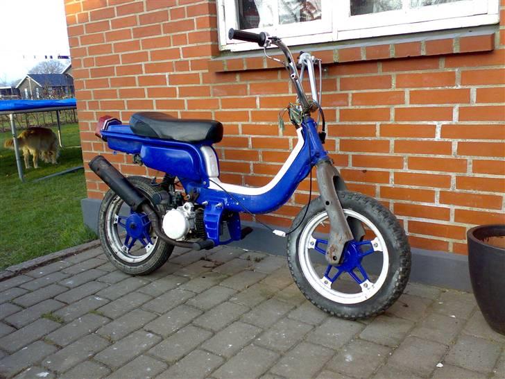 Suzuki FZ50  billede 1