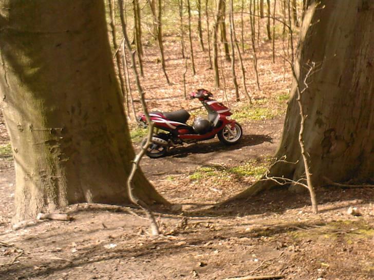 Aprilia Sr50 Ditech billede 2