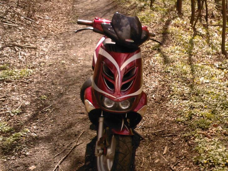Aprilia Sr50 Ditech billede 3