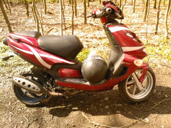 Aprilia Sr50 Ditech billede 5