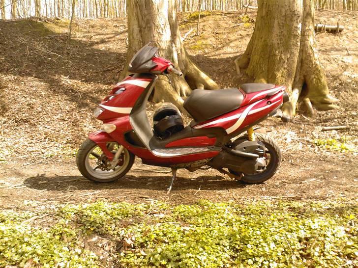 Aprilia Sr50 Ditech billede 6