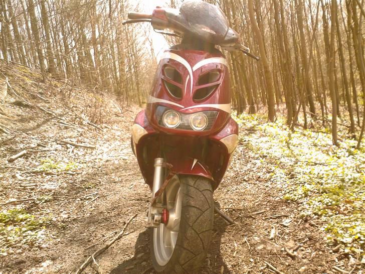 Aprilia Sr50 Ditech billede 7