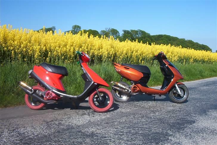 Aprilia Sonic GP™ >>>SOLGT<<< - sammen med kenneth´s jog.. :D billede 18
