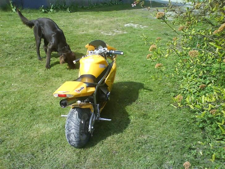 MiniBike Bike billede 5