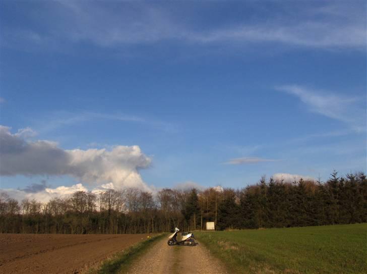 Yamaha Jog FS - solgt billede 12